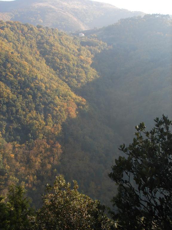 Gite Du Puy Saint-Fortunat-sur-Eyrieux Zewnętrze zdjęcie